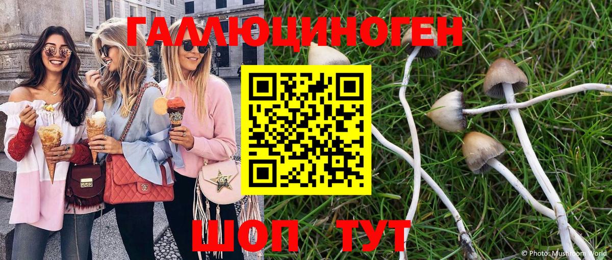 Псилоцибиновые грибы мухоморы Кингисепп